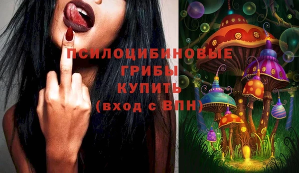 героин Алексин